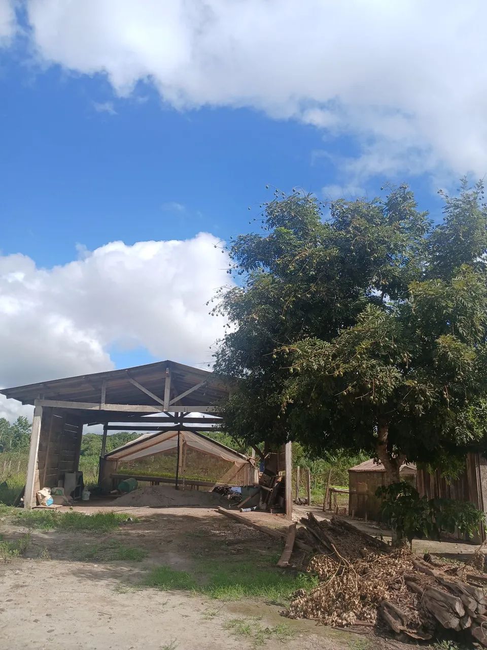 Sitio Produtivo  - Foto 2