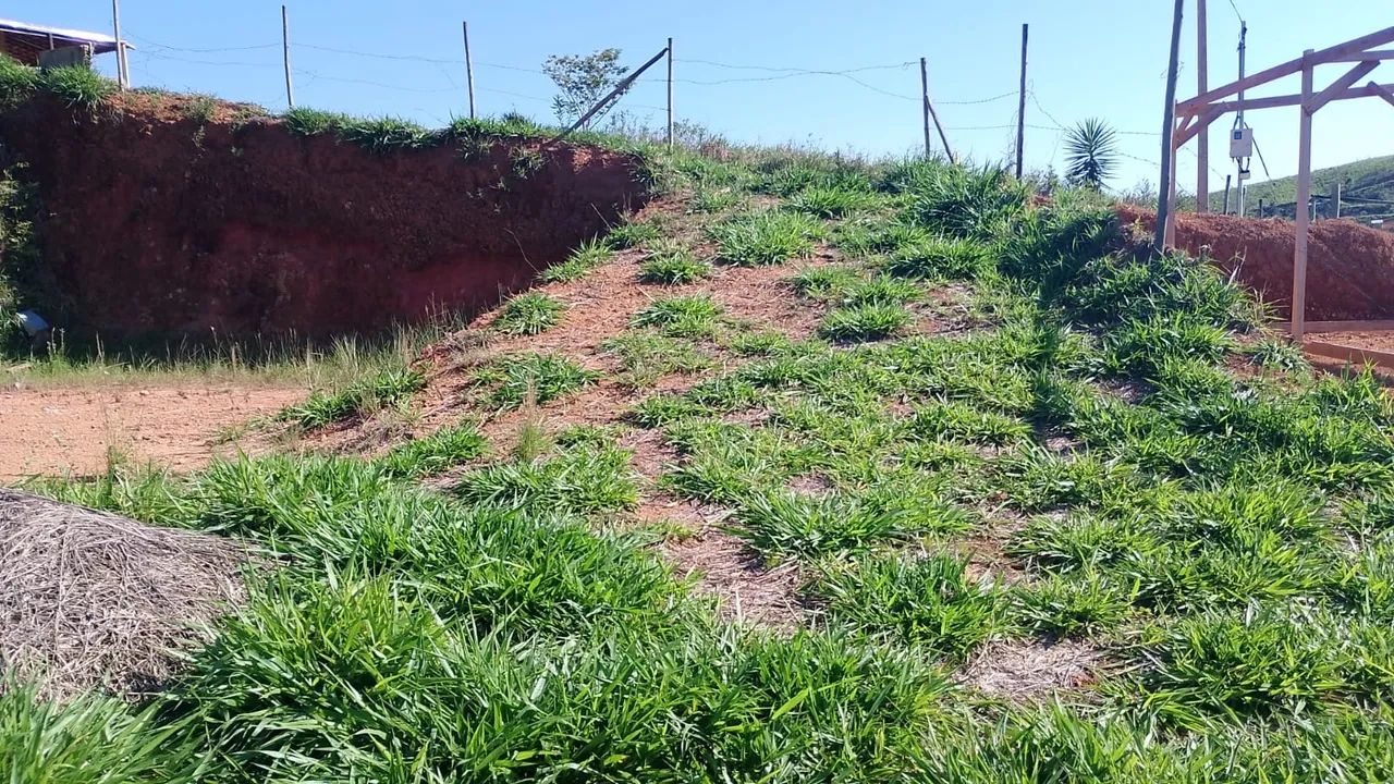 Terreno condomínio a venda  - Foto 4