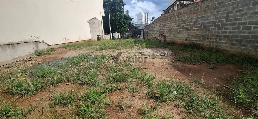 Terreno à venda em Campinas, Taquaral, com 290 m² - Foto 5