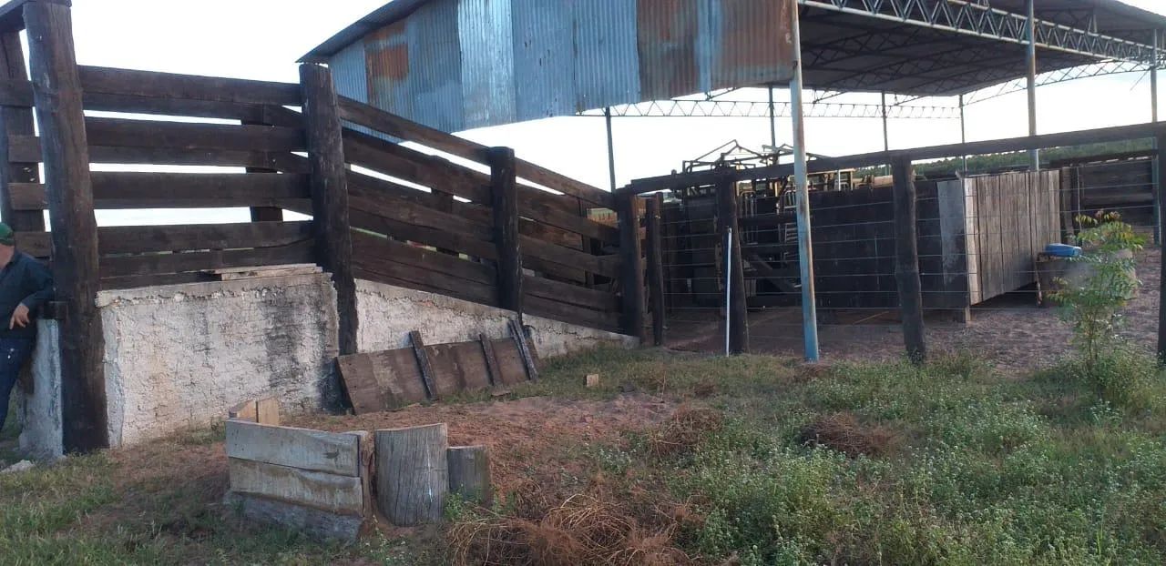 Fazenda para Venda em Guaraí - Foto 5