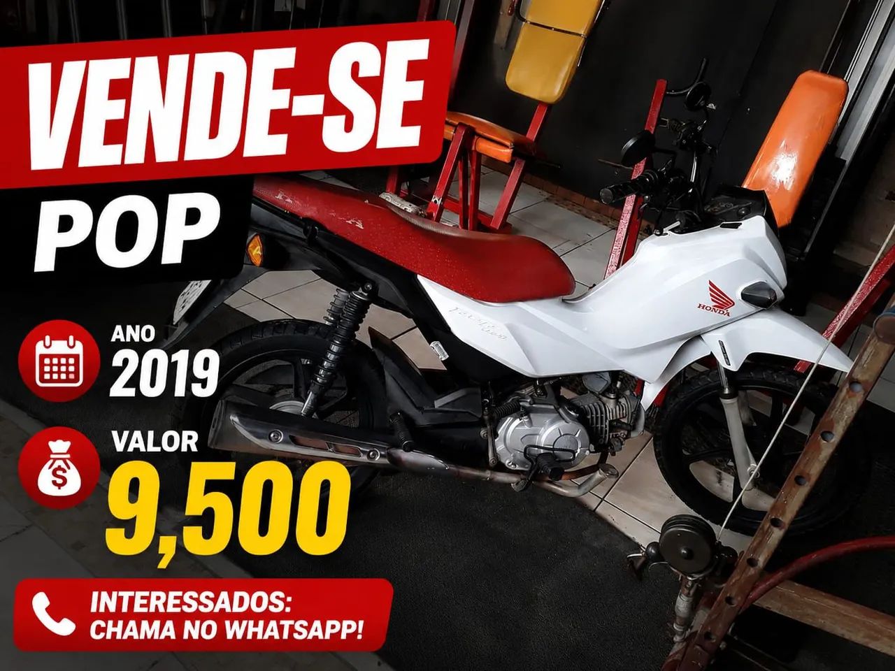 Honda Pop 2019