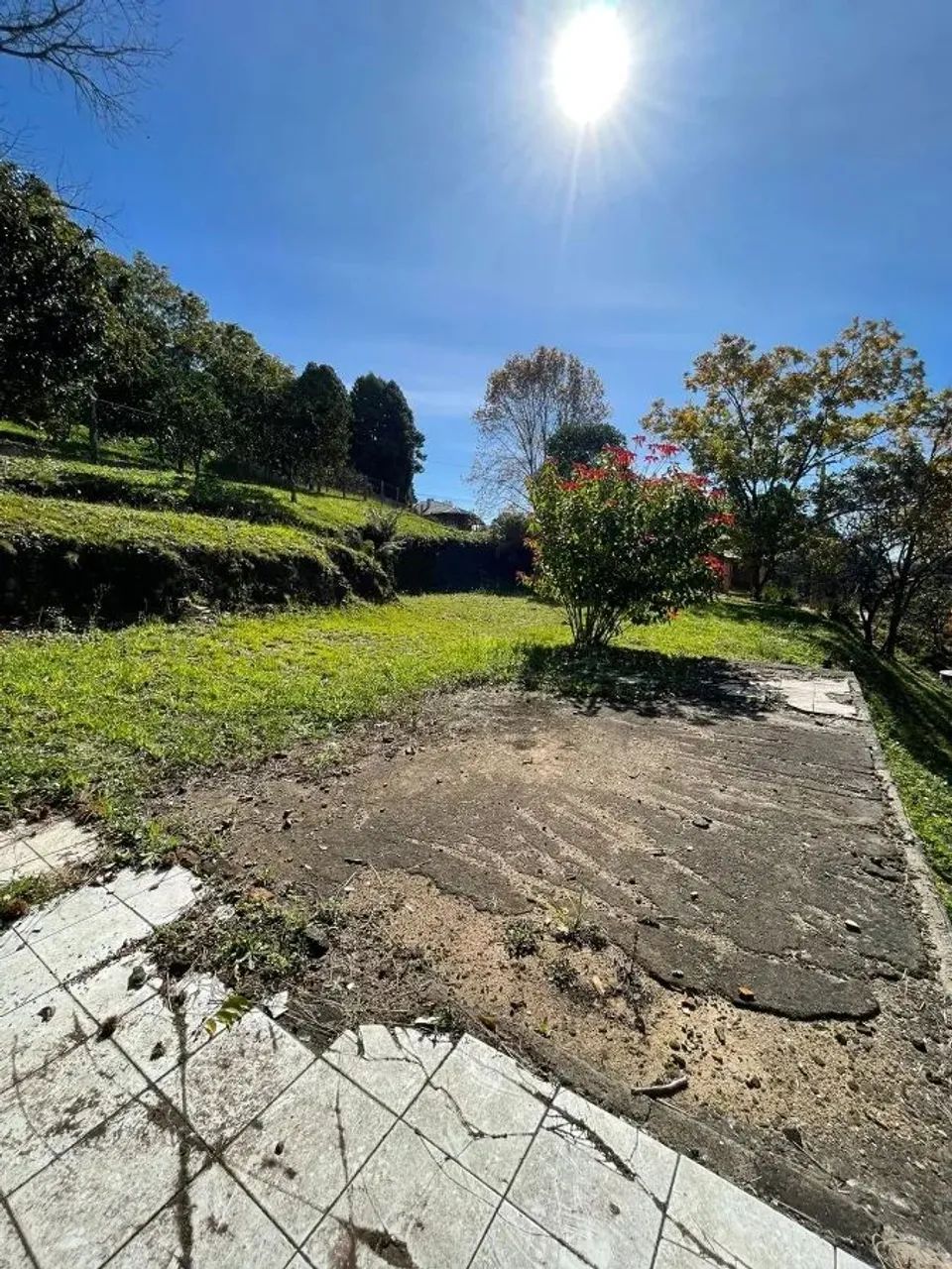 CAXIAS DO SUL - Terreno Padrão - LINHA 40 - Foto 14