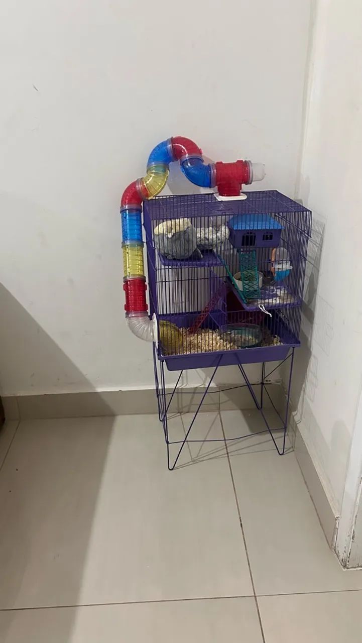 Gaiola Hamster