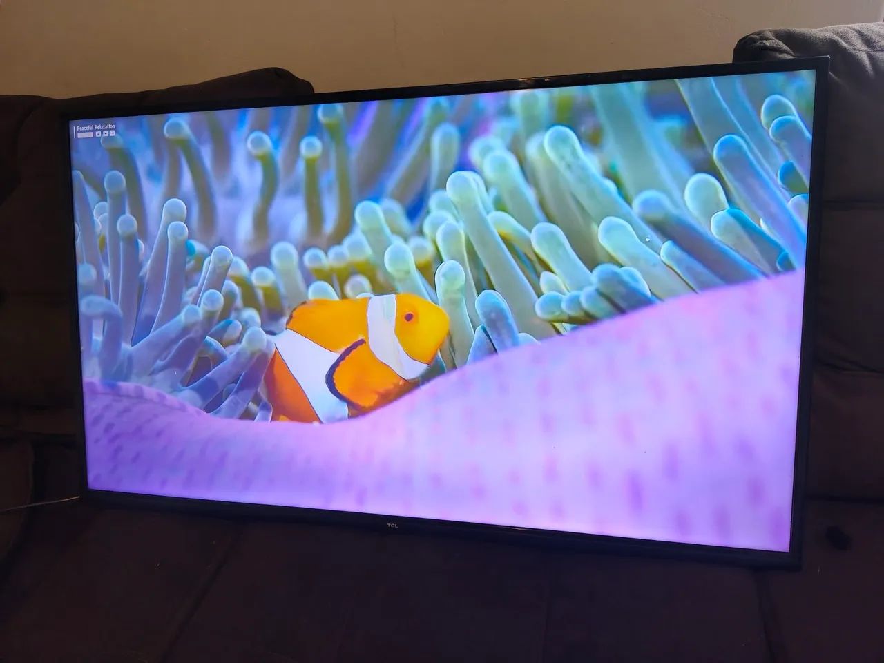 Smart 55 polegadas 4k da TCL sem detalhes como nova - Foto 3
