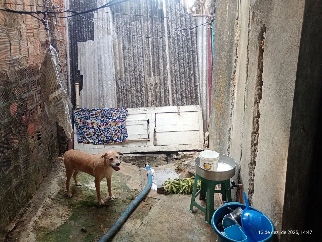 Casa a venda  - Foto 5