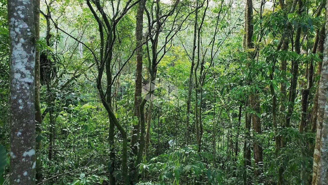 Terreno com 10.000 m² na Encantada em Garopaba SC - Foto 3