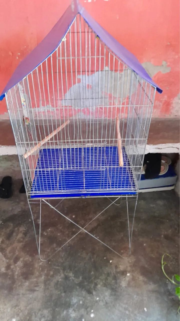 Gaiola de passarinho  - Foto 3