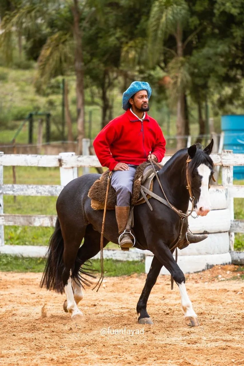 Égua Crioula, 5 anos. Boa e mansa de criança montar! - Foto 5