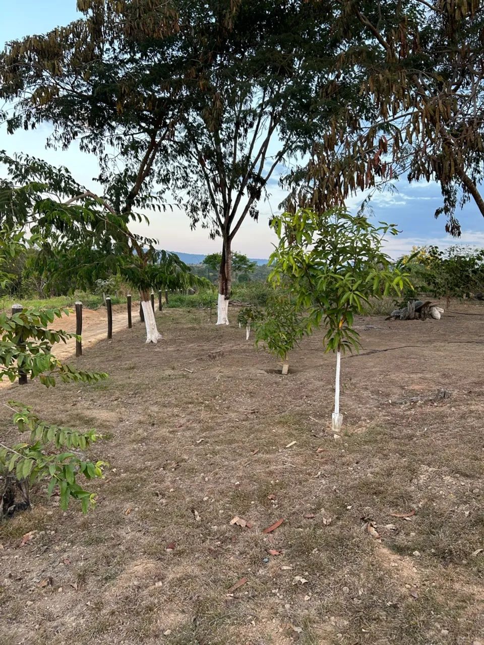 Vende-se chácara  - Foto 2