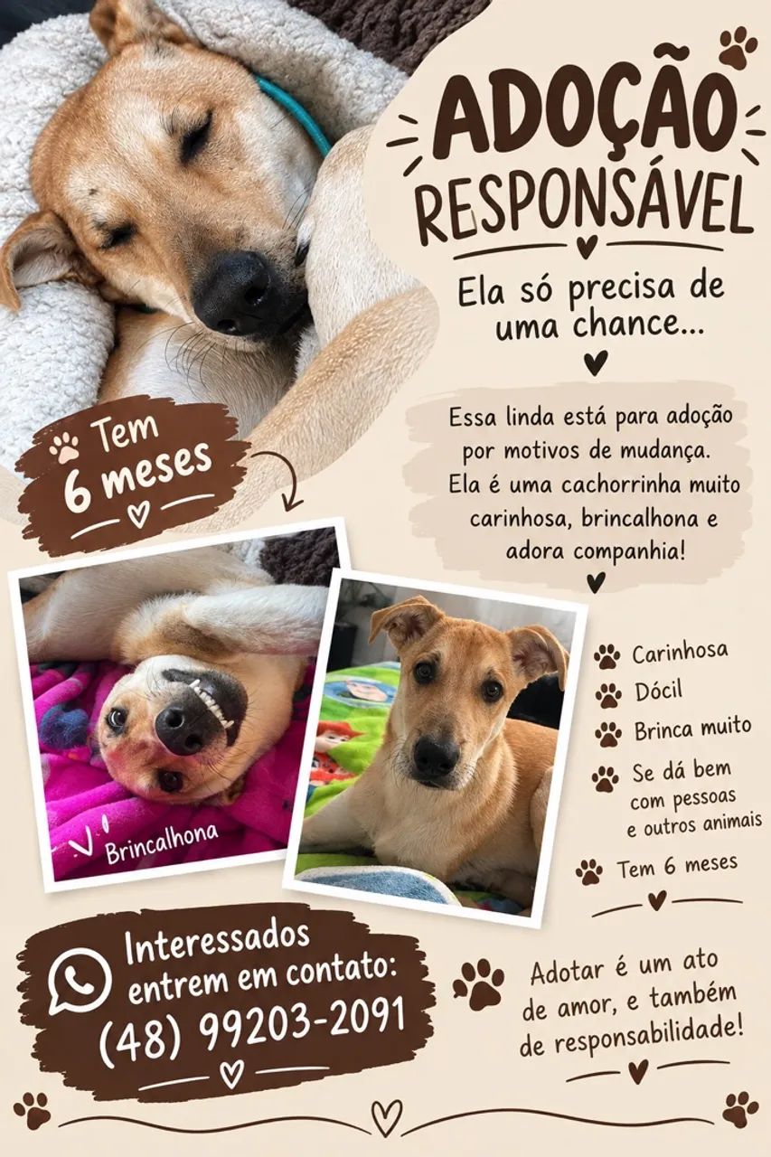 Doação responsável 