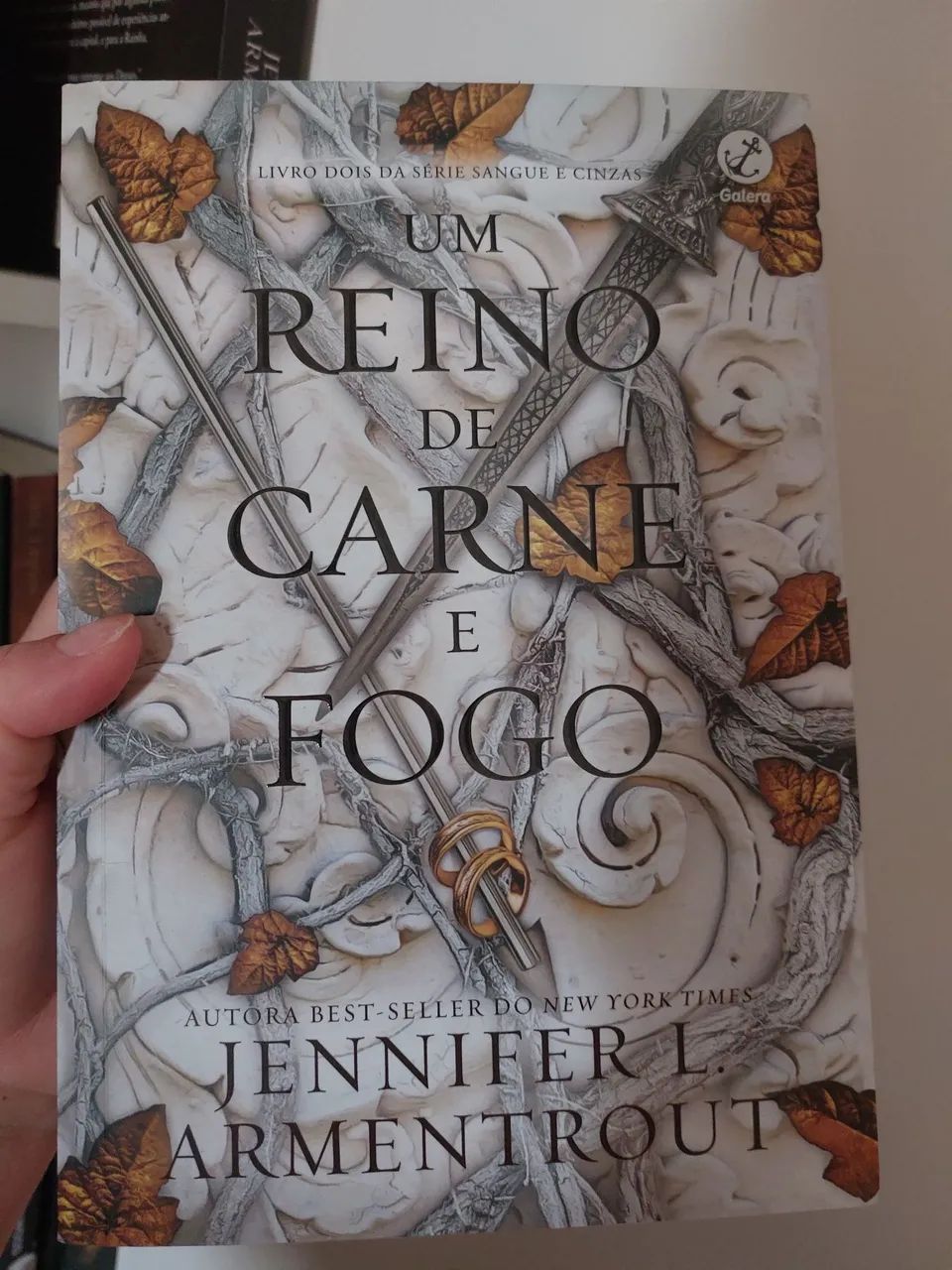 Livro De Sangue e Cinzas - Foto 2