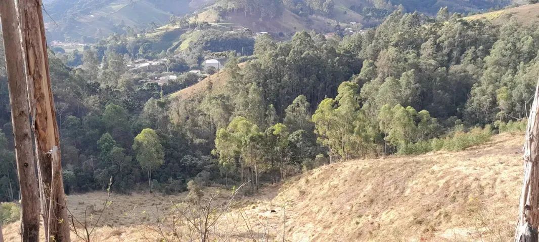 Lindo sitio de 35.000m2 no Sul de Minas!! Delfim Moreira MG - Foto 4