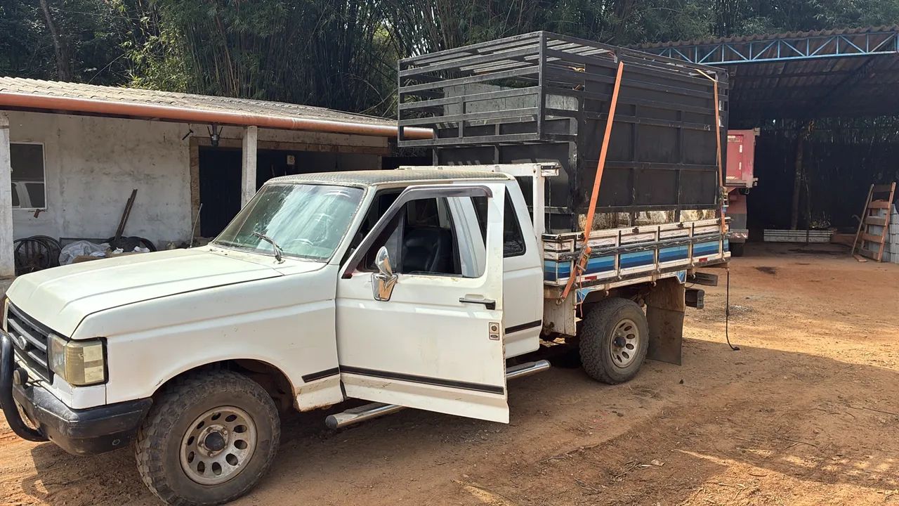 Ford F-1000 Super CE 4.9i / 3.6 1994