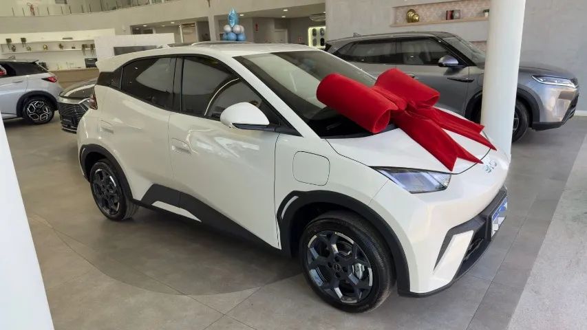BYD Dolphin Mini (Elétrico) 2027 - Foto 3