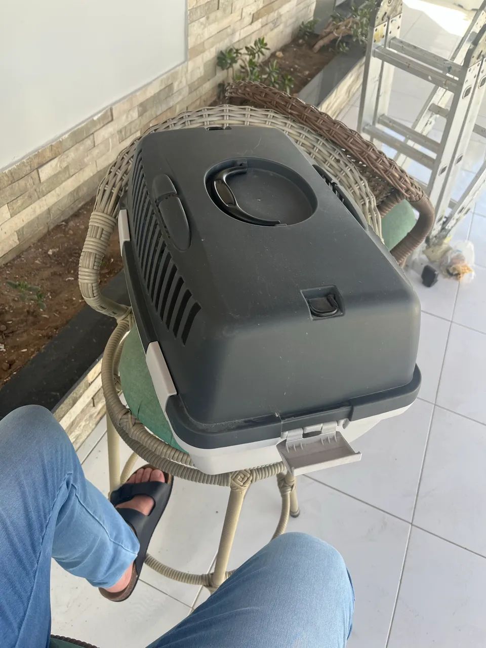 Caixinha para transportar pet 