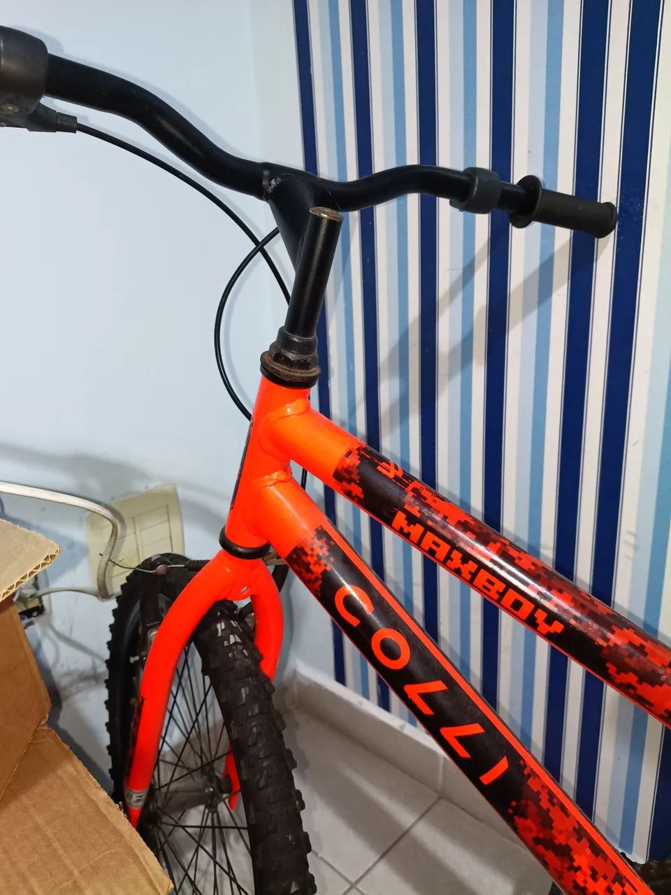 Bicicleta da Collie  - Foto 2