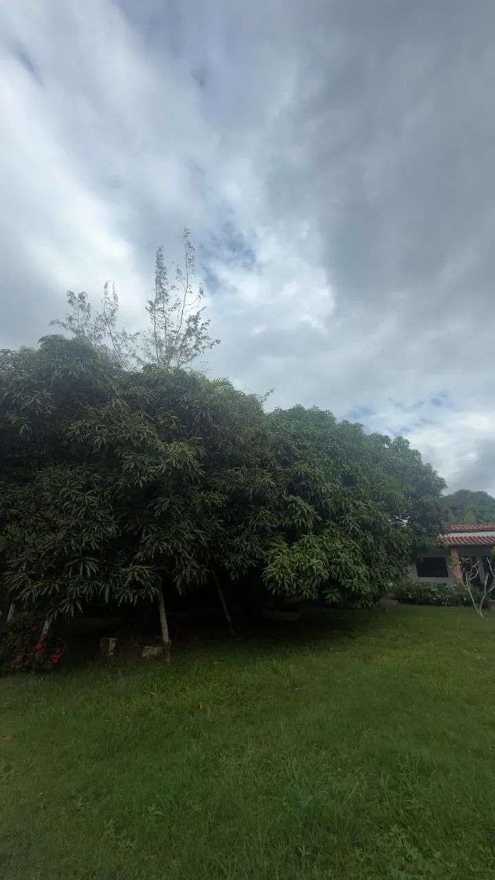 Granja com imóveis, piscina e a 36km do Recife - Foto 5