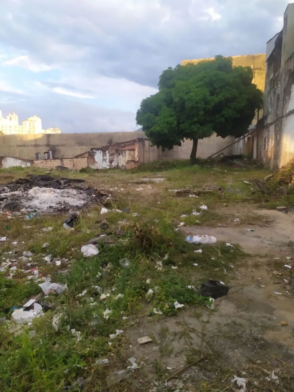 Terreno / Área Bairro Lagoinha - Foto 4