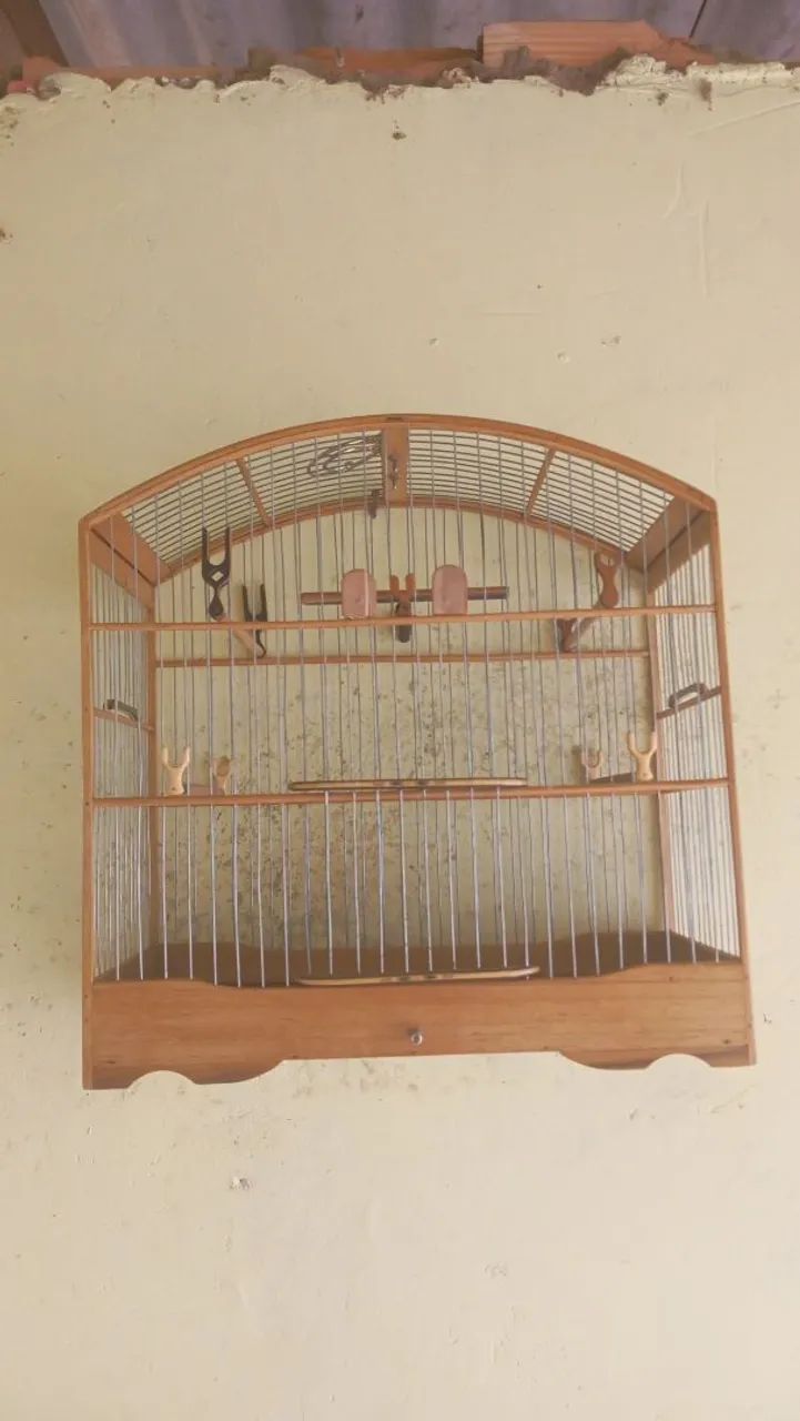 Gaiola de passeio de papa zerada 