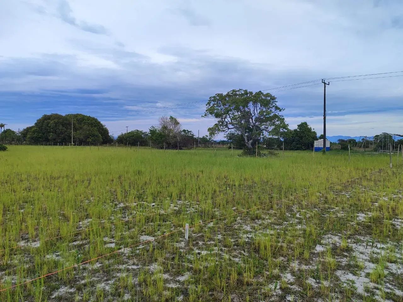 Area na Penha Quissamã com 5 Mil M2 - Foto 2
