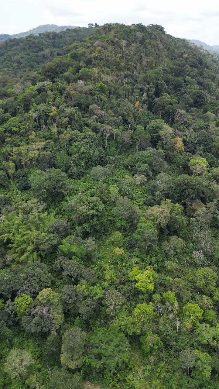 DRONE - filmagem de fazendas - Foto 3