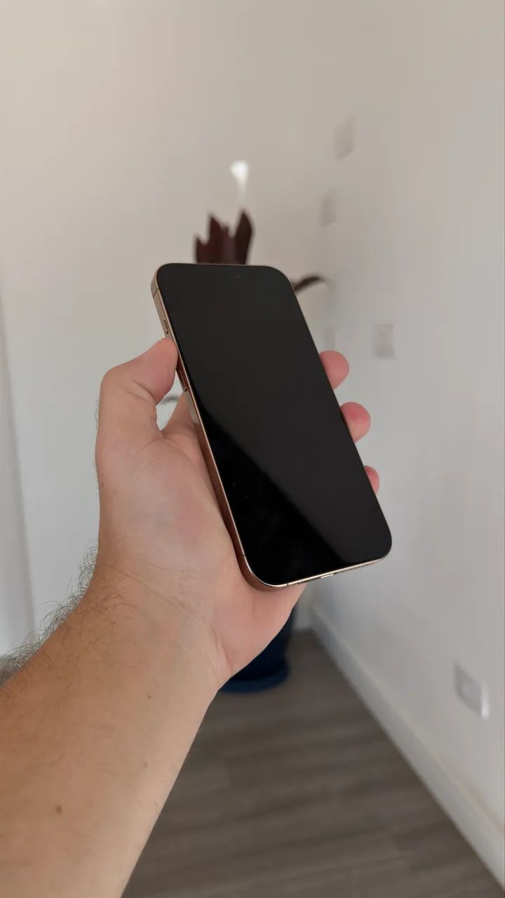 iPhone 16 Pro Max 256gb Impecável  - Foto 2