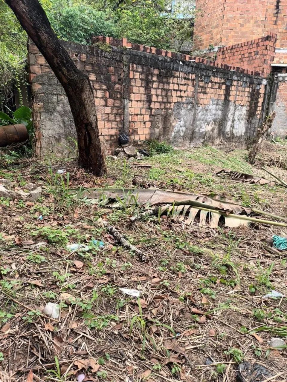 Terreno  - Foto 2