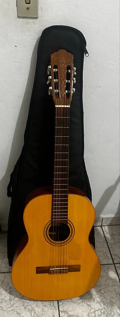 Violão do Geórgia 