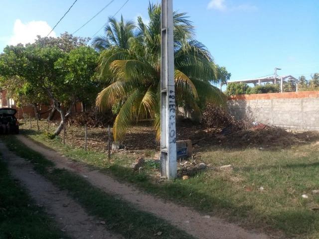 Terreno na rodovia Airton Senna- Mosqueiro - Foto 2