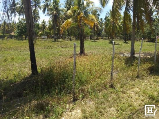 Chácara à venda - no robalo - Foto 19