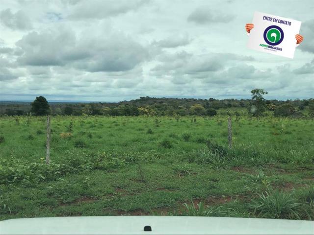 Fazenda em chapada dos guimarães - Foto 6