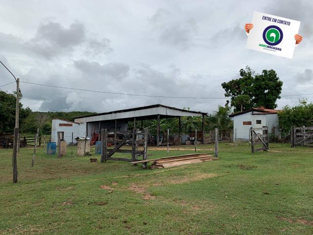 Fazenda 400 ha região de acorizal - Foto 7