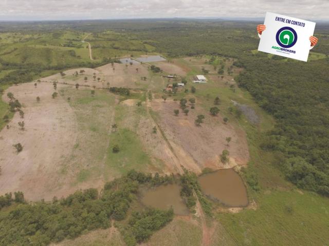 Fazenda 400 ha região de acorizal - Foto 2