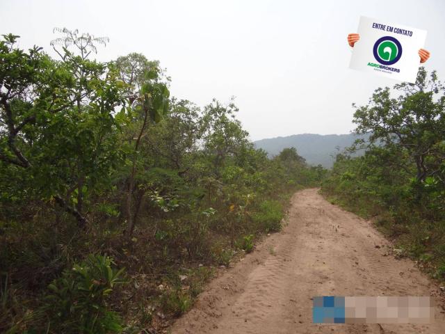 Fazenda 1.970ha - Foto 5