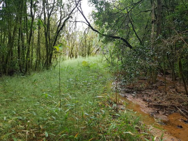 Área para formar chácara em São José dos pinhais bairro Cotia - Foto 12