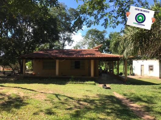 Sítio 28,7 ha no cinturão verde - Foto 14