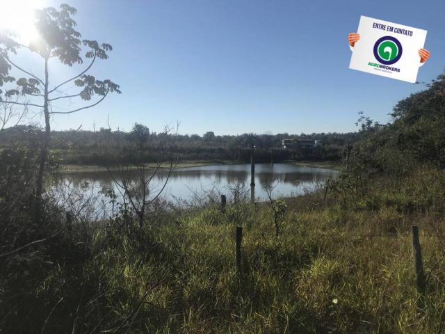 Fazenda 450ha beira do asfalto - Foto 2