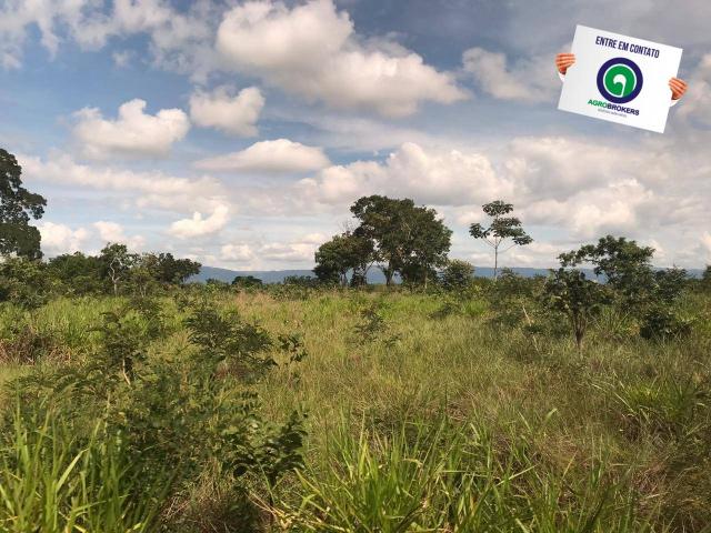 Fazenda 1400 ha na região de cáceres