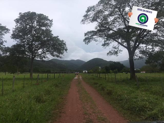 Fazenda 1000 ha região do olho d´água - Foto 10