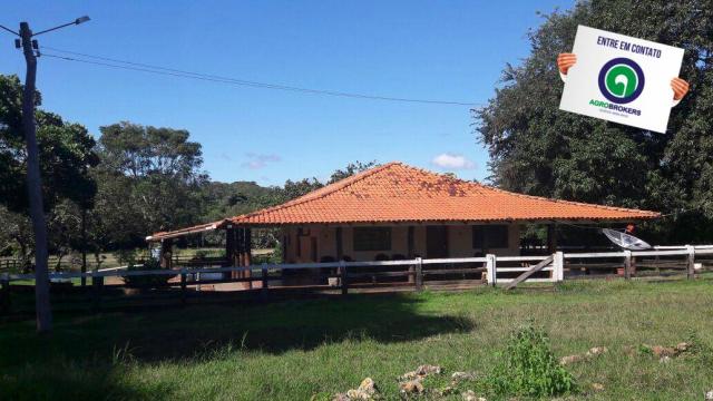 Fazenda 1.650 ha sentido caceres