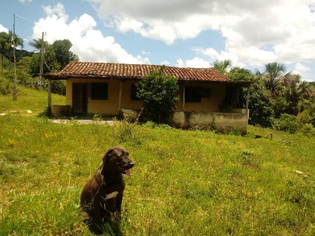 Sítio 2,5 alqueires