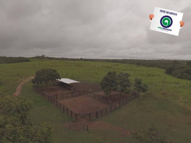 Fazenda 700 ha região do manso - Foto 2