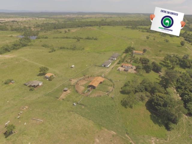 Fazenda 970 ha na beira do asfalto estrada de cáceres - Foto 8