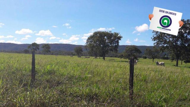 Fazenda 1.650 ha sentido caceres - Foto 8