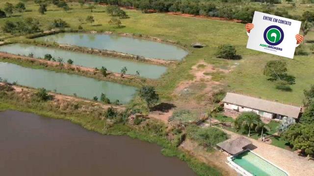 Fazenda 512 ha em livramento - Foto 2