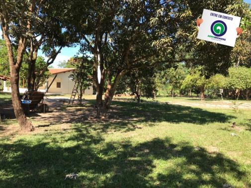 Sítio 28,7 ha no cinturão verde - Foto 9