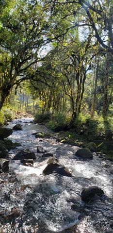 Sítio em Urubici/área rural em Urubici/chácara em Urubici