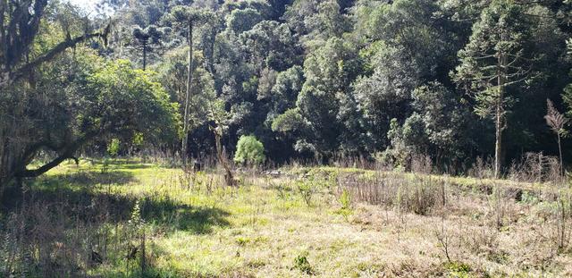 Sítio em Urubici/área rural em Urubici/chácara em Urubici - Foto 6