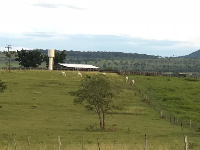 Nova Taquari MT Fazenda a 60 km da cidade com 2.480 hectares em pasto - Foto 6