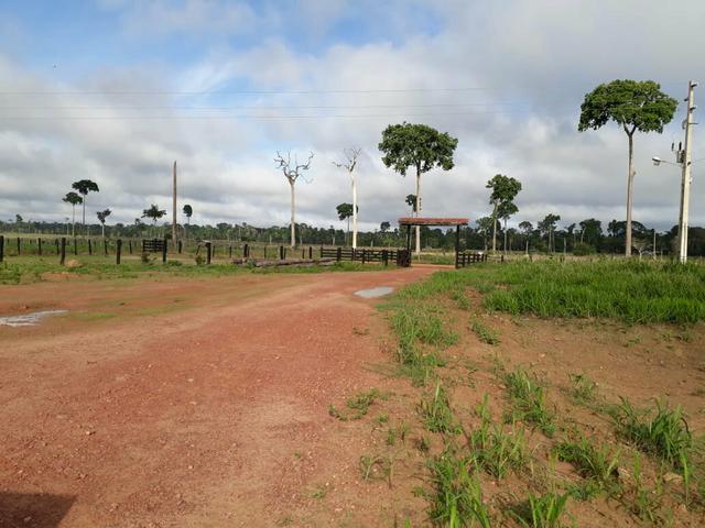 Fazenda em Senador - PA 200 alqueires (15 mil o alq) - Foto 8